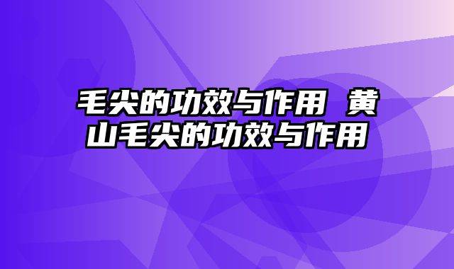 毛尖的功效与作用 黄山毛尖的功效与作用