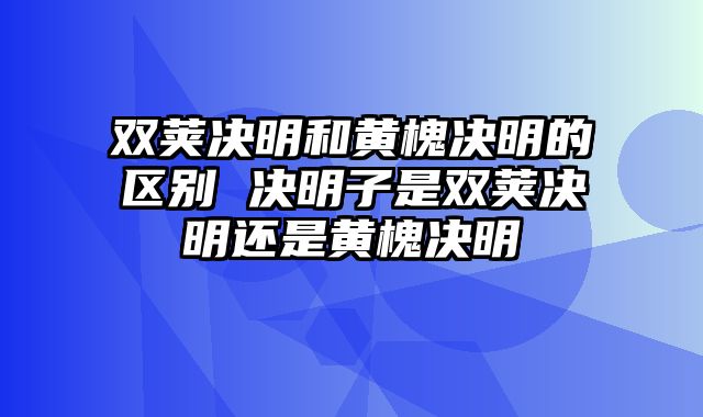 双荚决明和黄槐决明的区别 决明子是双荚决明还是黄槐决明