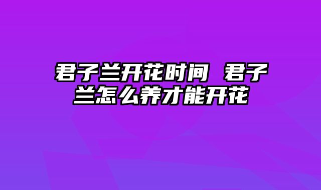 君子兰开花时间 君子兰怎么养才能开花