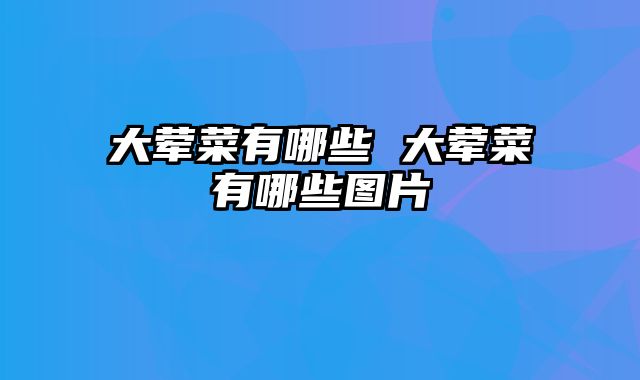 大荤菜有哪些 大荤菜有哪些图片