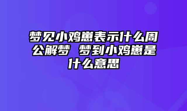 梦见小鸡崽表示什么周公解梦 梦到小鸡崽是什么意思