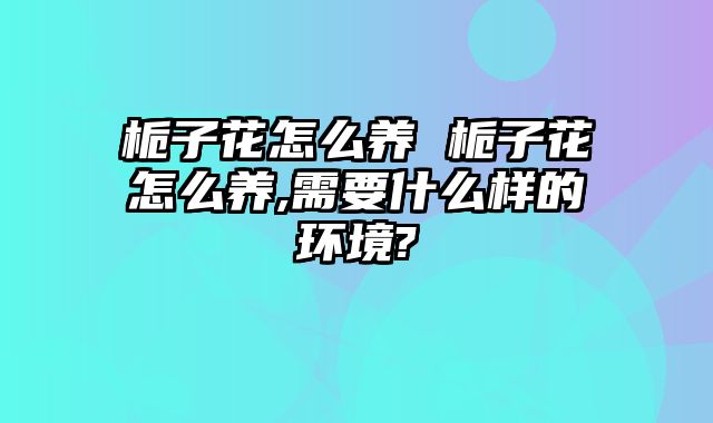 栀子花怎么养 栀子花怎么养,需要什么样的环境?