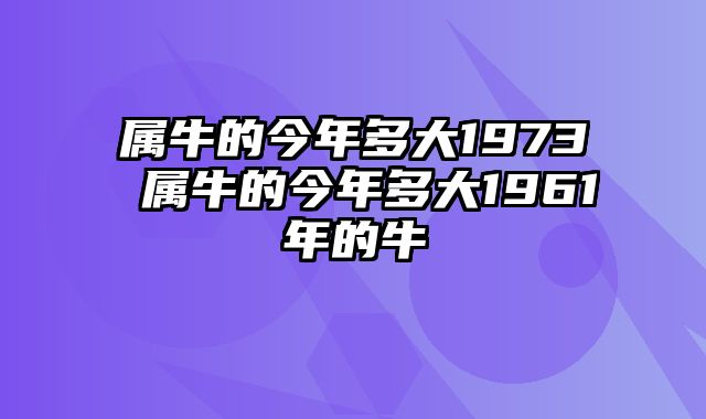 属牛的今年多大1973 属牛的今年多大1961年的牛