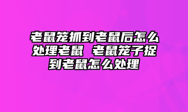 老鼠笼抓到老鼠后怎么处理老鼠 老鼠笼子捉到老鼠怎么处理