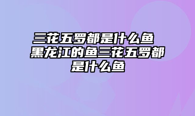 三花五罗都是什么鱼 黑龙江的鱼三花五罗都是什么鱼