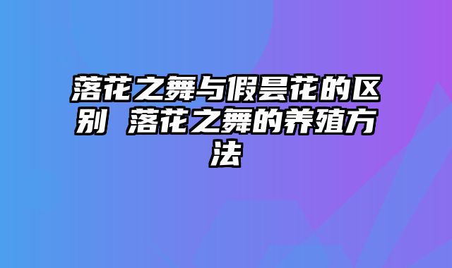 落花之舞与假昙花的区别 落花之舞的养殖方法