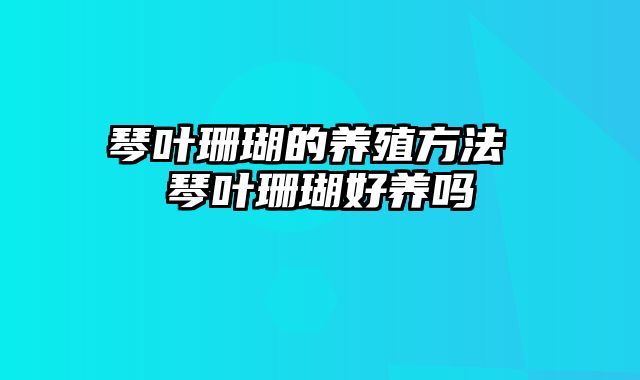 琴叶珊瑚的养殖方法 琴叶珊瑚好养吗
