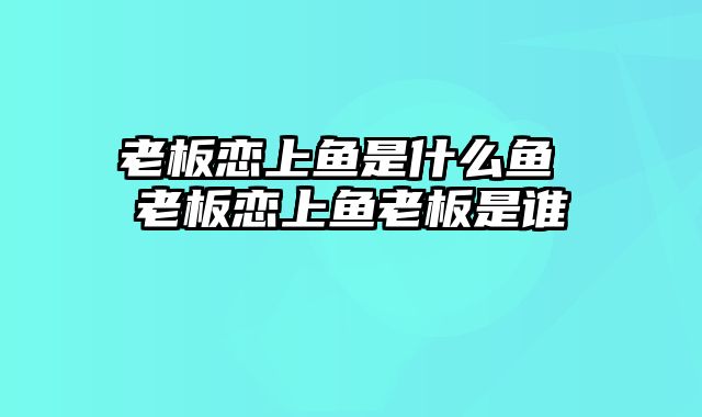 老板恋上鱼是什么鱼 老板恋上鱼老板是谁