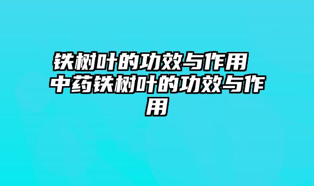 铁树叶的功效与作用 中药铁树叶的功效与作用