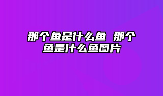 那个鱼是什么鱼 那个鱼是什么鱼图片