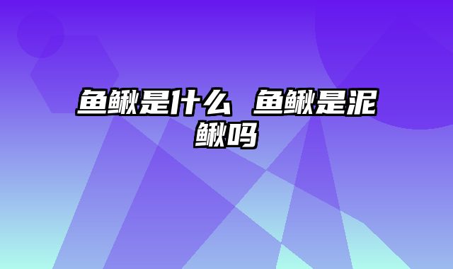 鱼鳅是什么 鱼鳅是泥鳅吗