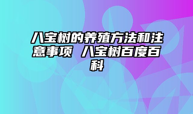 八宝树的养殖方法和注意事项 八宝树百度百科