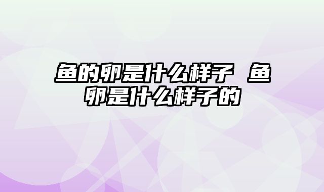 鱼的卵是什么样子 鱼卵是什么样子的