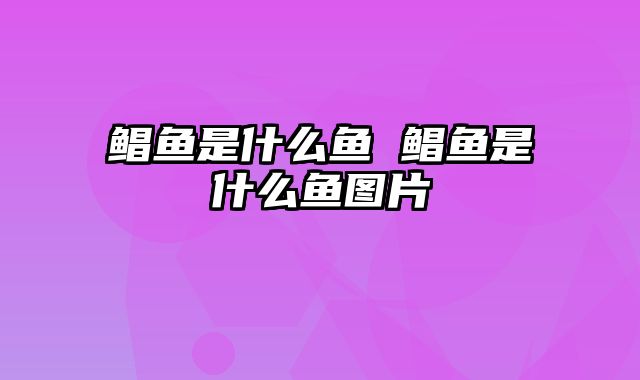 鲳鱼是什么鱼 鲳鱼是什么鱼图片