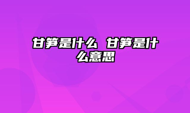 甘笋是什么 甘笋是什么意思