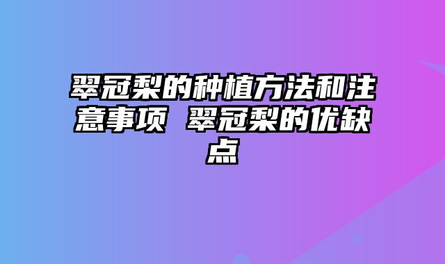 翠冠梨的种植方法和注意事项 翠冠梨的优缺点