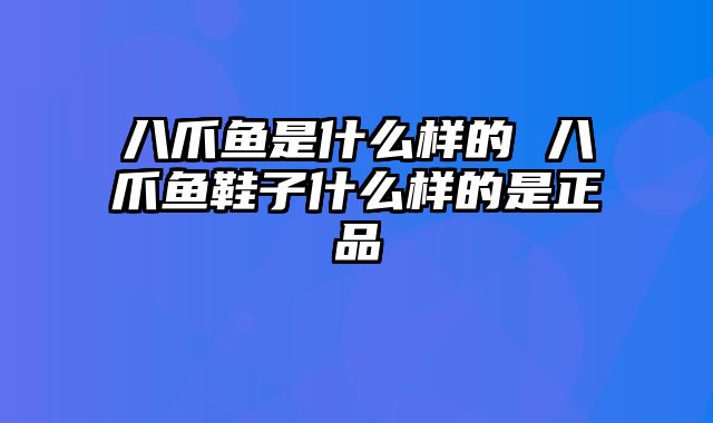 八爪鱼是什么样的 八爪鱼鞋子什么样的是正品
