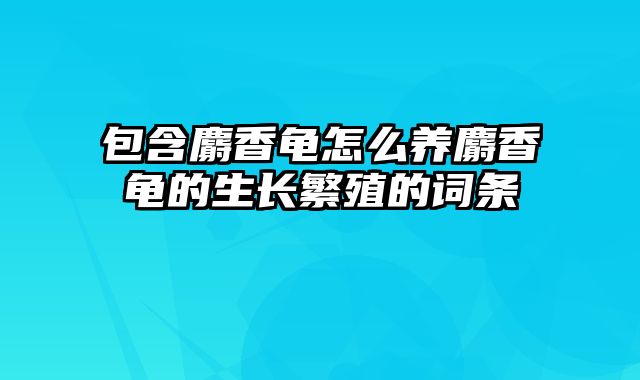 包含麝香龟怎么养麝香龟的生长繁殖的词条