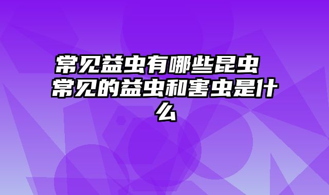 常见益虫有哪些昆虫 常见的益虫和害虫是什么