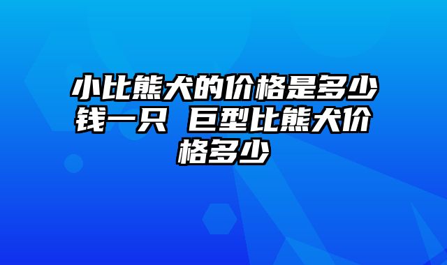小比熊犬的价格是多少钱一只 巨型比熊犬价格多少