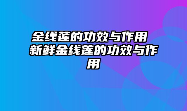 金线莲的功效与作用 新鲜金线莲的功效与作用