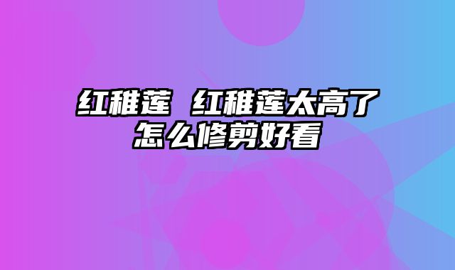 红稚莲 红稚莲太高了怎么修剪好看