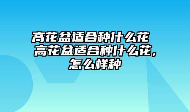 高花盆适合种什么花 高花盆适合种什么花,怎么样种