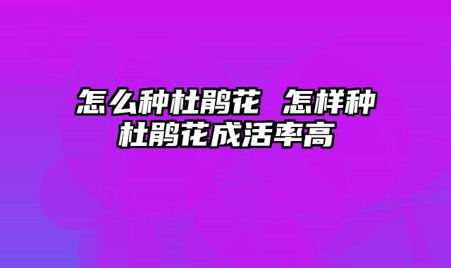 怎么种杜鹃花 怎样种杜鹃花成活率高