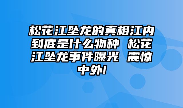 松花江坠龙的真相江内到底是什么物种 松花江坠龙事件曝光 震惊中外!