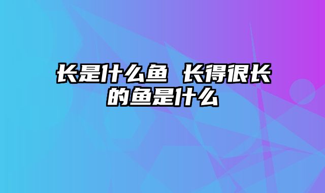 长是什么鱼 长得很长的鱼是什么