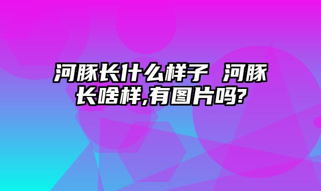 河豚长什么样子 河豚长啥样,有图片吗?