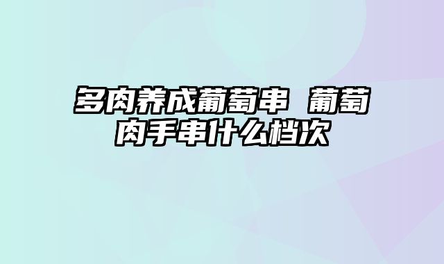 多肉养成葡萄串 葡萄肉手串什么档次