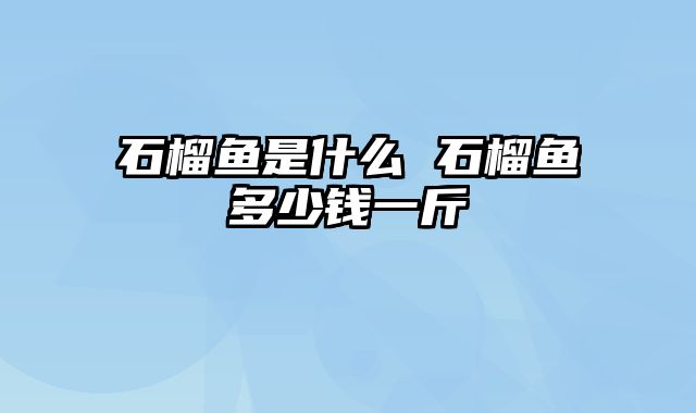 石榴鱼是什么 石榴鱼多少钱一斤