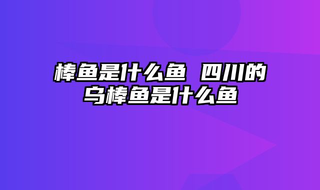 棒鱼是什么鱼 四川的乌棒鱼是什么鱼