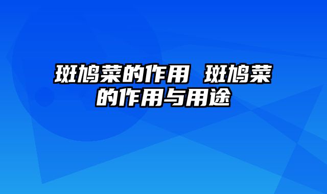 斑鸠菜的作用 斑鸠菜的作用与用途