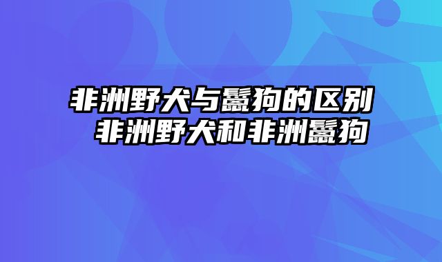 非洲野犬与鬣狗的区别 非洲野犬和非洲鬣狗