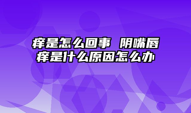 痒是怎么回事 阴嘴唇痒是什么原因怎么办