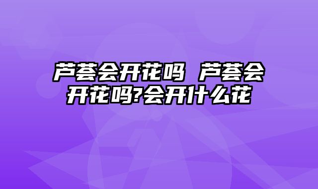 芦荟会开花吗 芦荟会开花吗?会开什么花