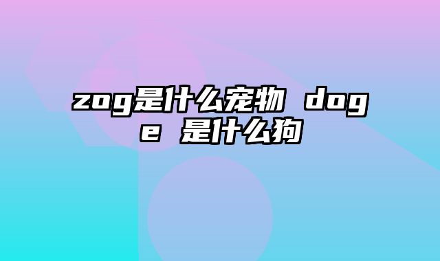 zog是什么宠物 doge 是什么狗