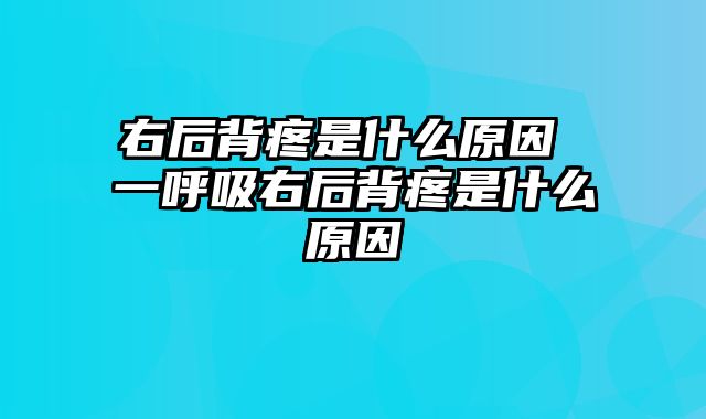 右后背疼是什么原因 一呼吸右后背疼是什么原因