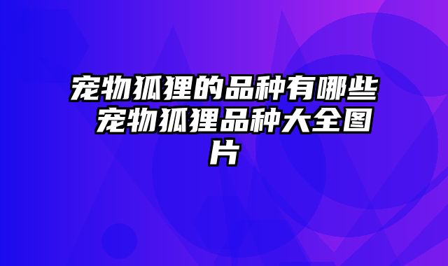 宠物狐狸的品种有哪些 宠物狐狸品种大全图片