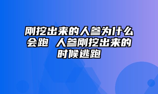刚挖出来的人参为什么会跑 人参刚挖出来的时候逃跑