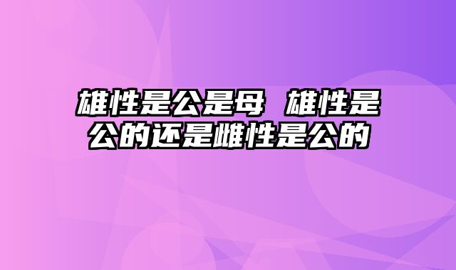 雄性是公是母 雄性是公的还是雌性是公的