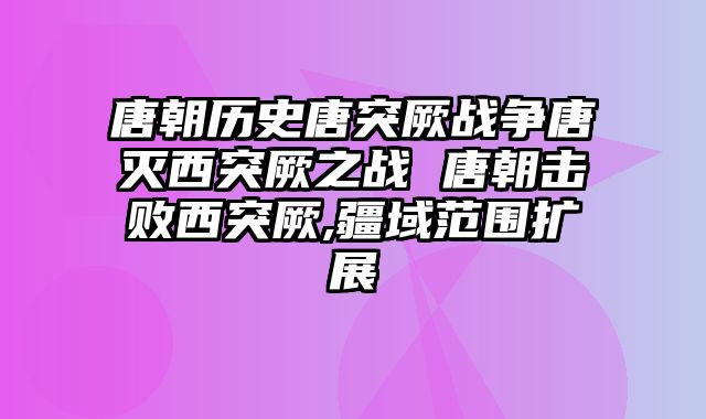 唐朝历史唐突厥战争唐灭西突厥之战 唐朝击败西突厥,疆域范围扩展