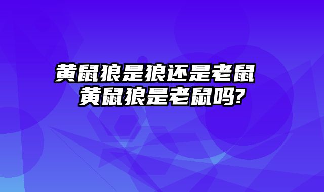 黄鼠狼是狼还是老鼠 黄鼠狼是老鼠吗?
