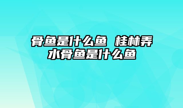 骨鱼是什么鱼 桂林弄水骨鱼是什么鱼