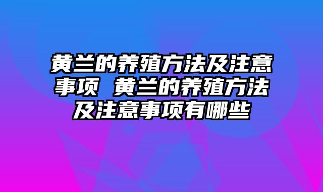 黄兰的养殖方法及注意事项 黄兰的养殖方法及注意事项有哪些