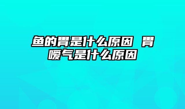 鱼的胃是什么原因 胃嗳气是什么原因