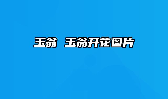 玉翁 玉翁开花图片