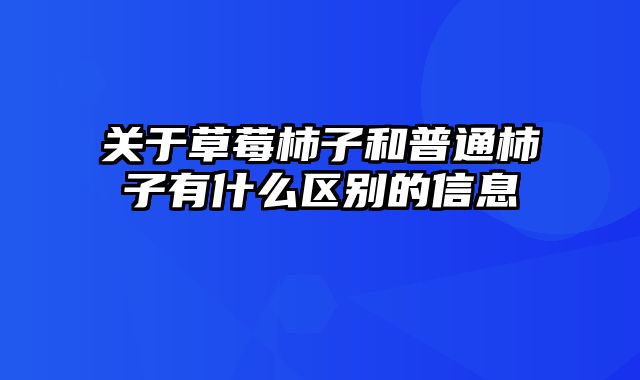 关于草莓柿子和普通柿子有什么区别的信息